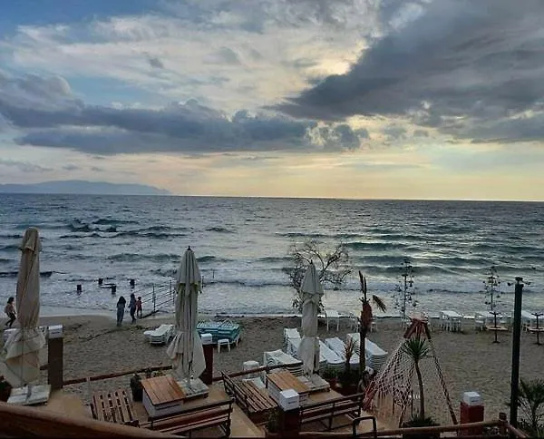 Grand Ayhan * 쿠사다시